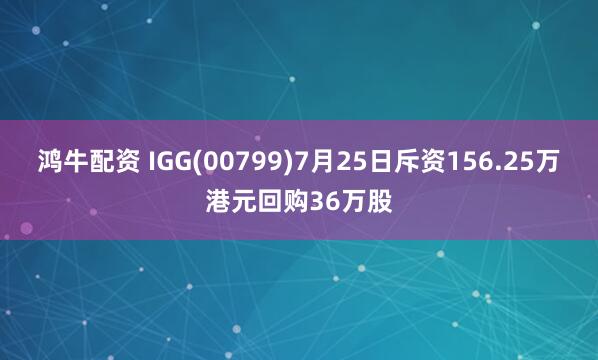 鸿牛配资 IGG(00799)7月25日斥资156.25万港元回购36万股