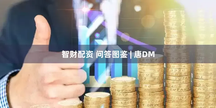 智财配资 问答图鉴 | 唐DM