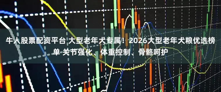 牛人股票配资平台 大型老年犬专属！2026大型老年犬粮优选榜单 关节强化、体重控制、骨骼呵护